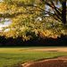 20081029_newyork_centralpark_10
